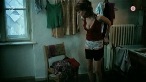 ME1C4LW0_t.jpg ME1C4LW0_t.jpg