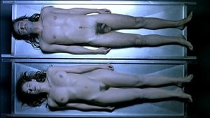 ME1C5297_t.jpg ME1C5297_t.jpg