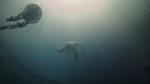 ME1C6Y8K_t.jpg ME1C6Y8K_t.jpg