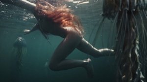 ME1C6Y8L_t.jpg ME1C6Y8L_t.jpg