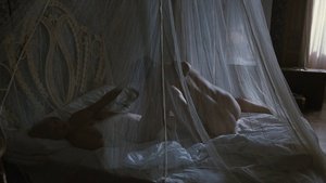 ME1C6Y99_t.jpg ME1C6Y99_t.jpg