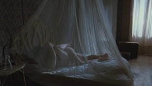 ME1C6Y9C_t.jpg ME1C6Y9C_t.jpg