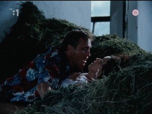 ME1C8DAD_t.jpg ME1C8DAD_t.jpg