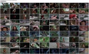 bzriiv1p_t.jpg bzriiv1p_t.jpg