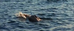 ME1CASRE_t.jpg ME1CASRE_t.jpg