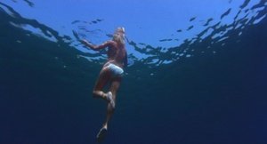 ME1CCRKD_t.jpg ME1CCRKD_t.jpg