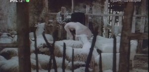 ME1CFTZ2_t.jpg ME1CFTZ2_t.jpg