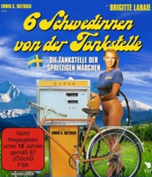 Sechs Schwedinnen von der Tankstelle10.jpeg