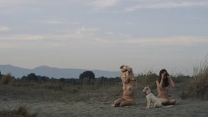 ME1CGAZ1_t.jpg ME1CGAZ1_t.jpg