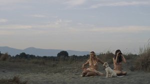 ME1CGAZ2_t.jpg ME1CGAZ2_t.jpg