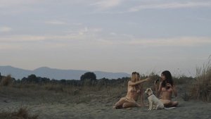 ME1CGAZ3_t.jpg ME1CGAZ3_t.jpg