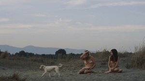 ME1CGAZ4_t.jpg ME1CGAZ4_t.jpg