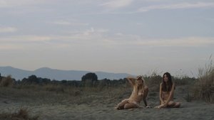 ME1CGAZ5_t.jpg ME1CGAZ5_t.jpg