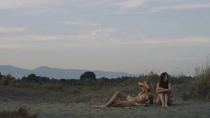 ME1CGAZ7_t.jpg ME1CGAZ7_t.jpg