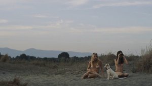 ME1CGAZ8_t.jpg ME1CGAZ8_t.jpg