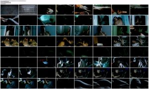 uf1LOXF3_t.jpg uf1LOXF3_t.jpg