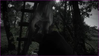 rger-alles-fleisch-ist-gras-2014-hd-720p-image-1-3.jpg rger-alles-fleisch-ist-gras-2014-hd-720p-image-1-3.jpg