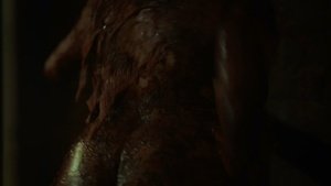 ME1CIPPO_t.jpg ME1CIPPO_t.jpg