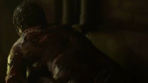 ME1CIPPP_t.jpg ME1CIPPP_t.jpg