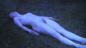 ME1CJLHN_t.jpg ME1CJLHN_t.jpg