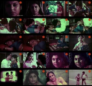 zz1111.jpg zz1111.jpg