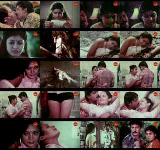 zz33333.jpg zz33333.jpg