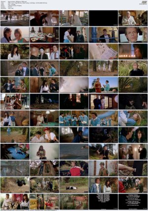 Ninja-Academy-1989-Bluray-1080p.mp4_l.jpg Ninja-Academy-1989-Bluray-1080p.mp4_l.jpg