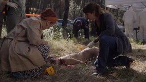 ME1CLQH0_t.jpg ME1CLQH0_t.jpg