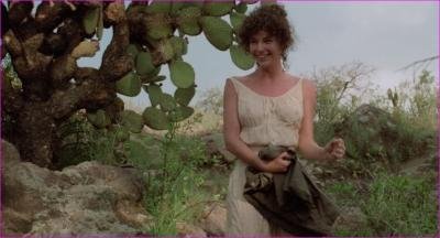 ary-steenburgen-goin-south-1978-hd-1080p-image-1-6.jpg