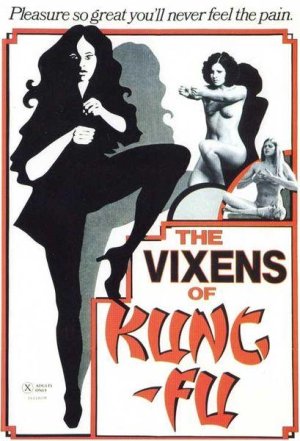 The-Vixens-of-Kung-Fu.jpg