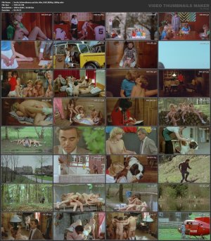 chs.Schwedinnen.auf.der.Alm.1983.BDRip.1080p.mkv_l.jpg