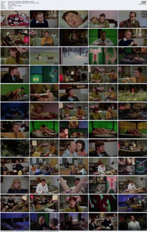 anguage.of.Love.1969.Uncut.1080p.WEBRip.x265.mp4_l.jpg