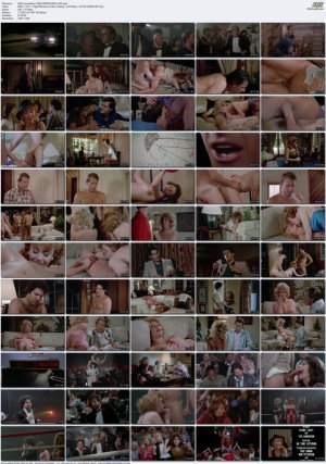 Stiff.Competition.1984.1080P.BLURAY.x265.mp4_l.jpg