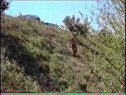 b9c23f1374586421.jpg