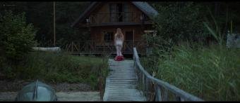 137089350_dogs-dont-wear-pants-_1-5-1.jpg