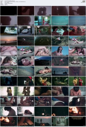 Pet-of-the-Month-WEB-DL-720p.mp4_l.jpg
