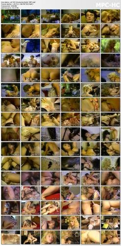 545150337_screen.jpg