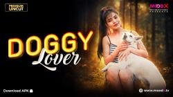 730255519_doggy-lover-2026-short-film-moodx.jpg