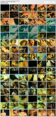 699031109_screen.jpg