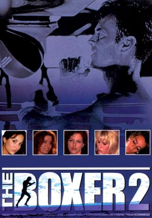11The_Boxer_2_m.jpg