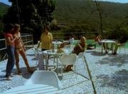 mor-1982-4-mp4_snapshot_08-41_-2026-06-03_11-47-42.jpg