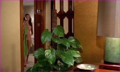 peng-veronique-vendell-das-madchen-von-hongkong-19.jpg