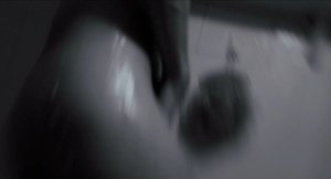 ME1D5C1B_t.jpg