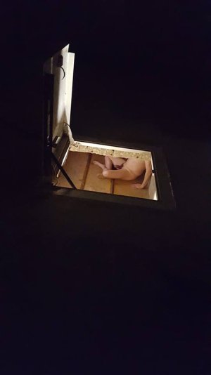 12528113_10153883222524801_1033868195_n.jpeg