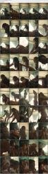 _secret-confessions-e72-2025-joni-mcnab-mp4_thumbs.jpg