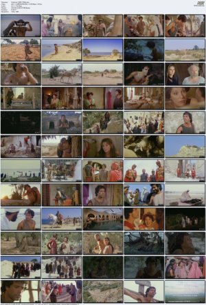 Il-ladrone-%281980%29-1080p.mkv_l.jpg