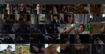 4196_lori-singer-summer-heat-1987-hd-1080p-image-2.jpg