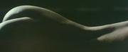 -nude-1984-mp4_snapshot_18-43_-2026-06-24_17-39-37.jpg