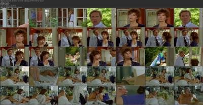 en-das-erbe-der-guldenburgs-s03e04e09-1990-hd-720p.jpg
