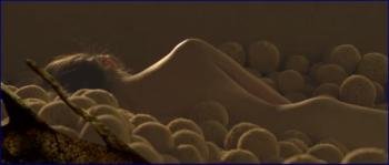 rmanova-posledni-z-aporveru-2011-hd-720p-image-1-5.jpg